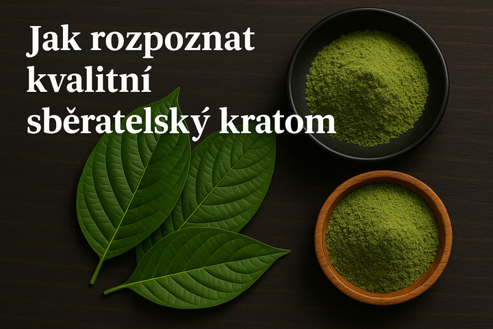 🧐 Jak rozpoznat kvalitní sběratelský kratom?