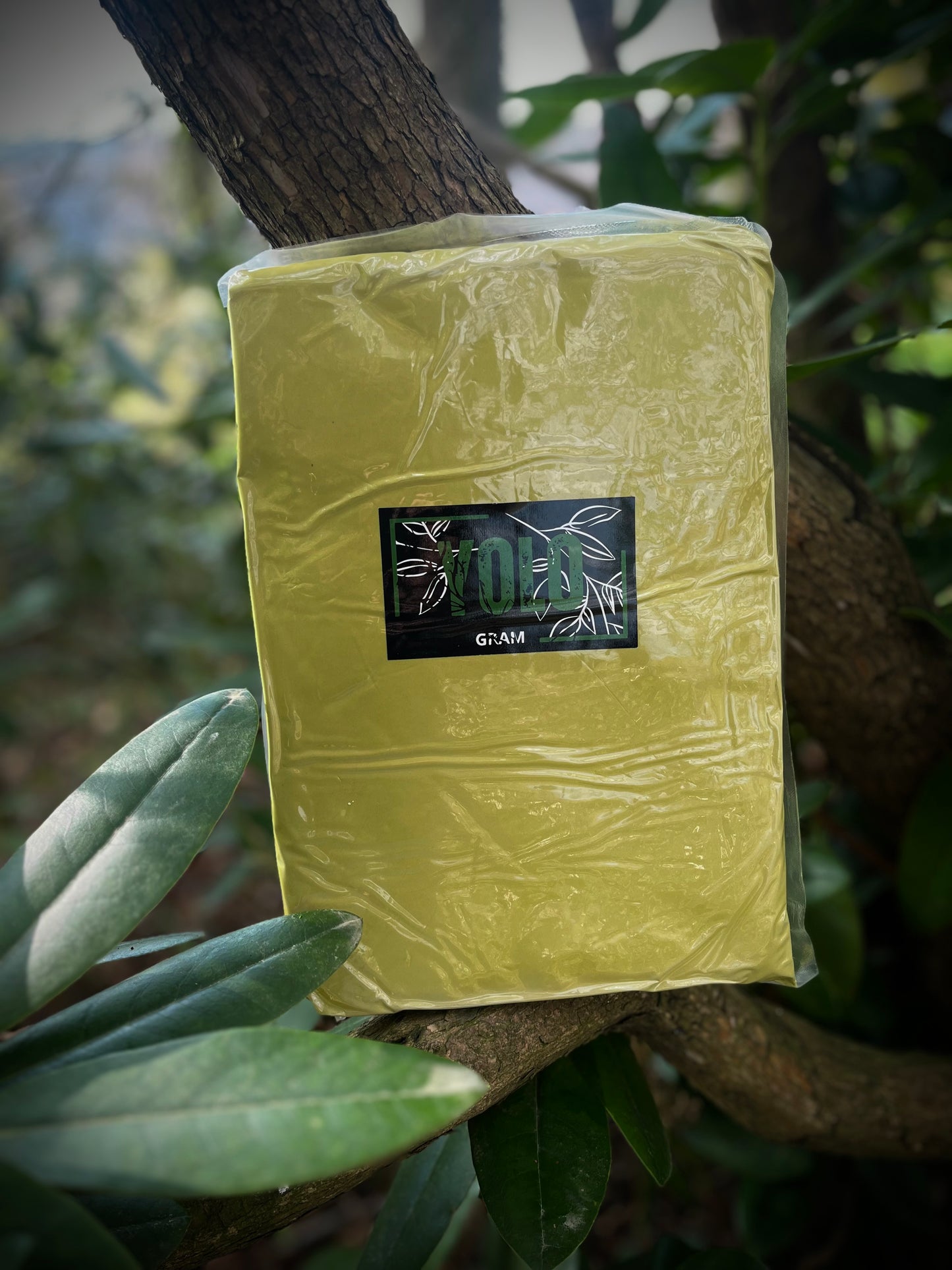 Zlatý kratom