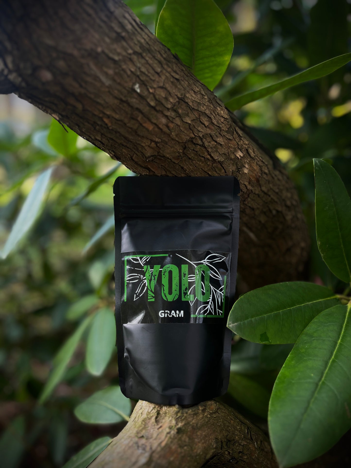 Zlatý kratom