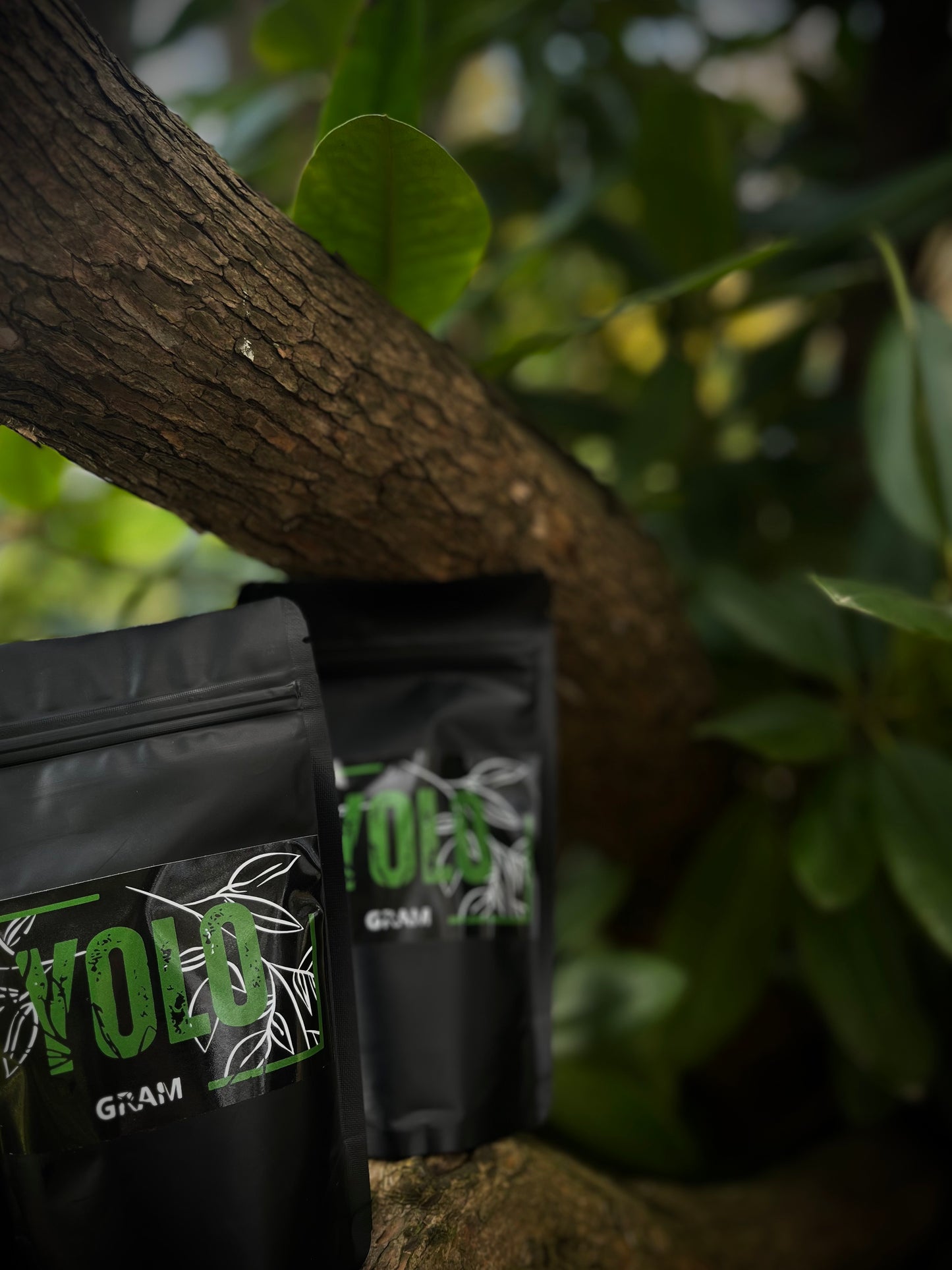 Zlatý kratom
