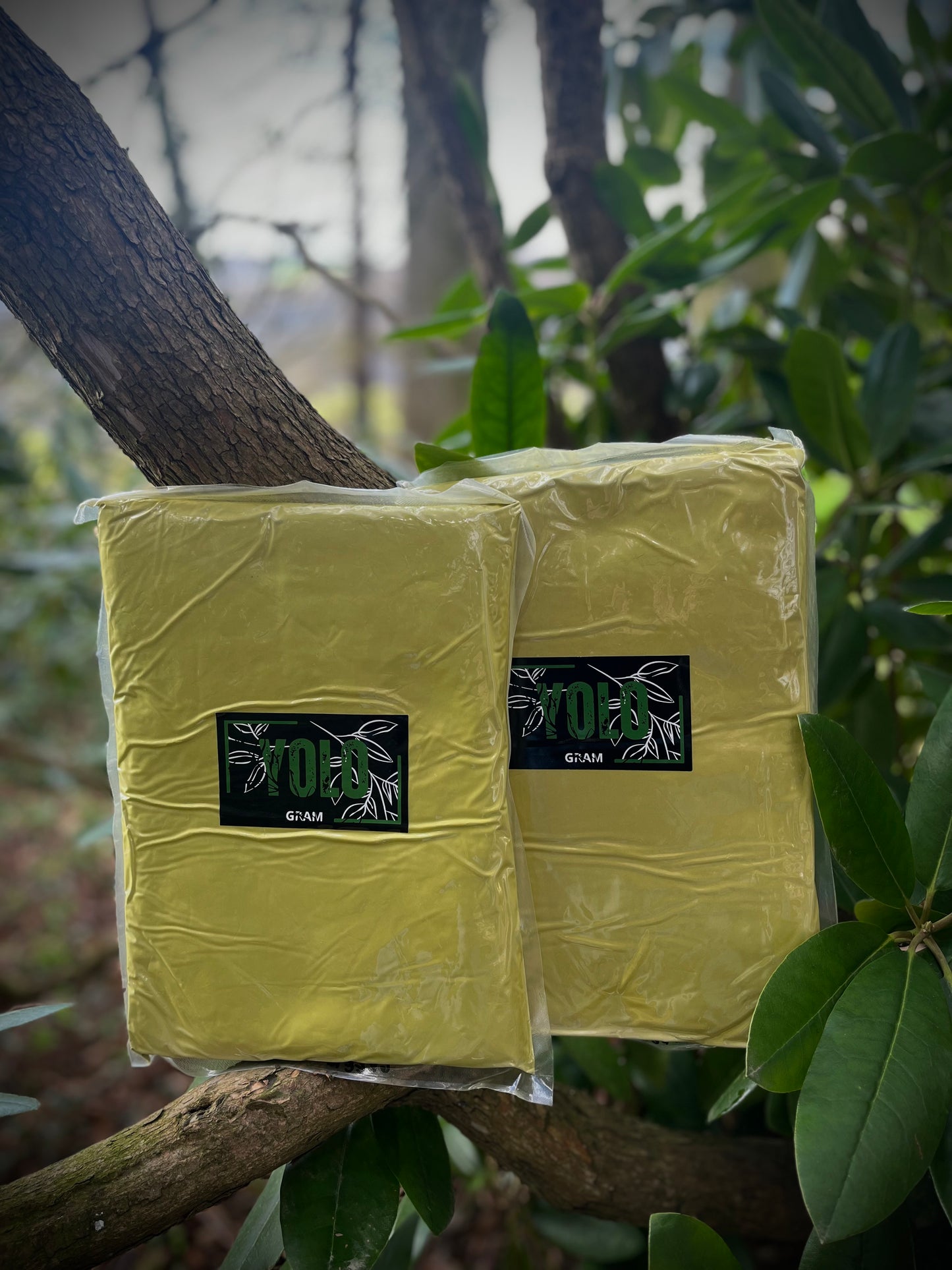 Zlatý kratom