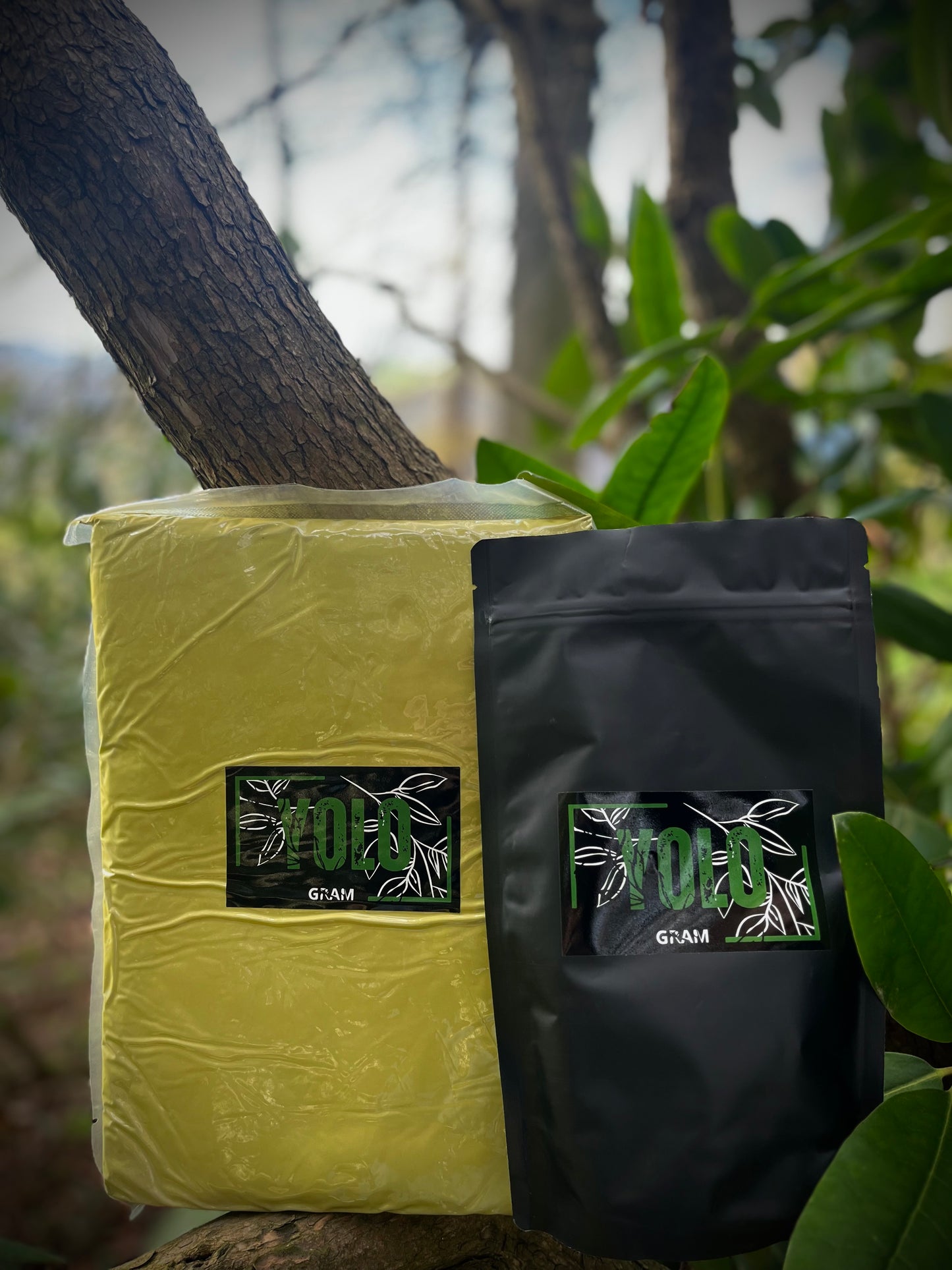 Zlatý kratom