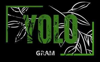 YOLOGram.cz