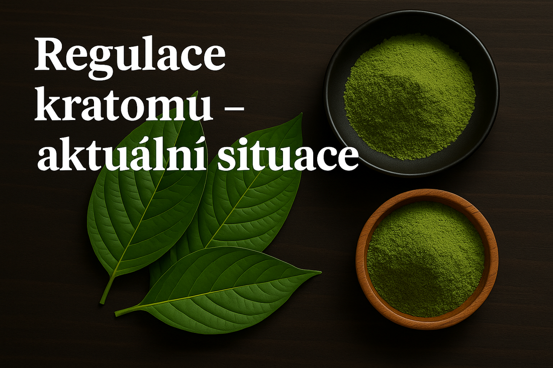 ⚠️ Regulace kratomu – aktuální situace